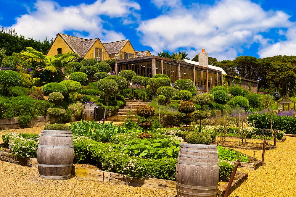 Waiheke Island Wineries NZ copy